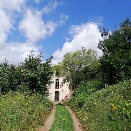 La Peonia Casa Vacanze In Montagna Prato Verde Panorama Stupendo Sardegna Seùlo Buitenkant foto