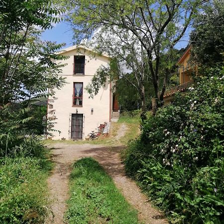 La Peonia Casa Vacanze In Montagna Prato Verde Panorama Stupendo Sardegna Seùlo Buitenkant foto