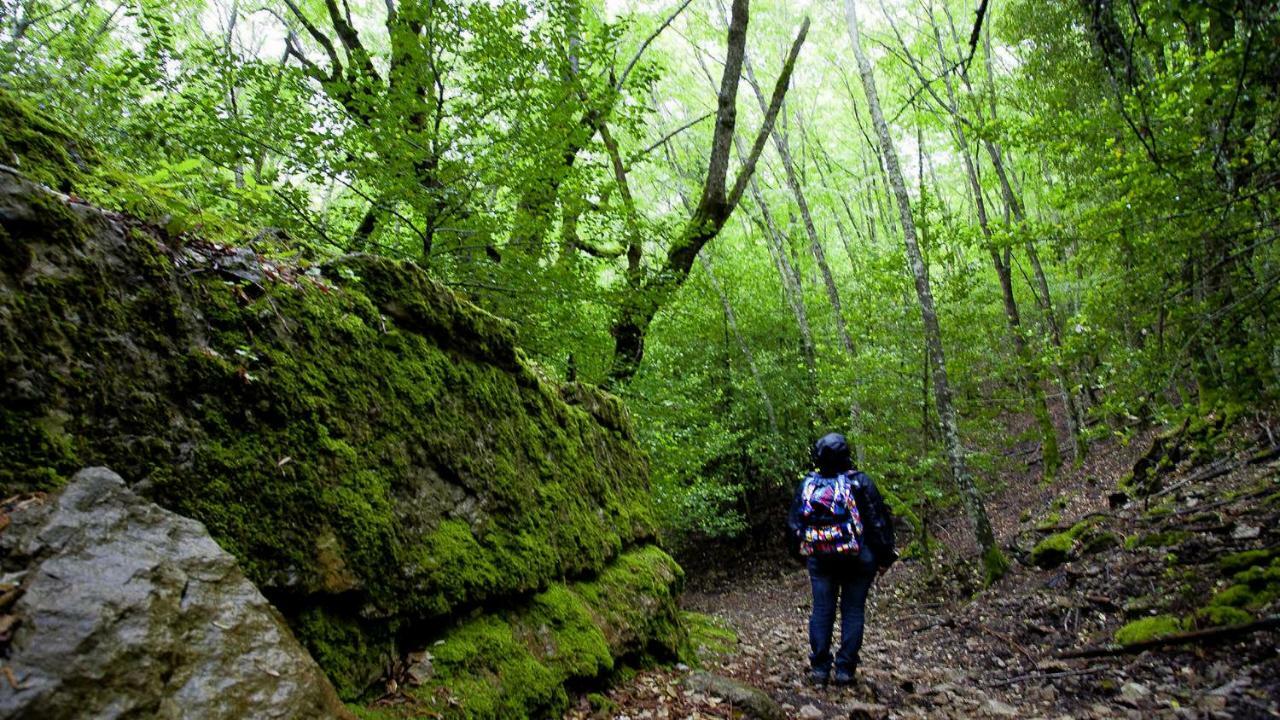 La Peonia Casa Vacanze In Montagna Prato Verde Panorama Stupendo Sardegna Seùlo Buitenkant foto