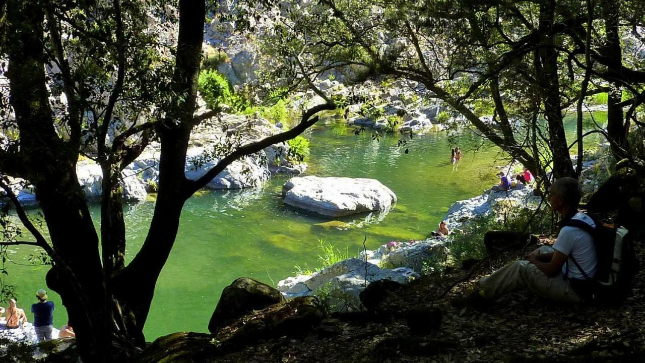 La Peonia Casa Vacanze In Montagna Prato Verde Panorama Stupendo Sardegna Seùlo Buitenkant foto