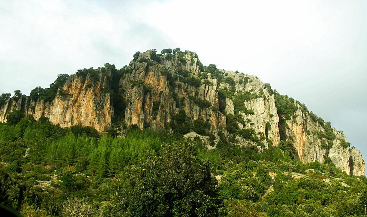 La Peonia Casa Vacanze In Montagna Prato Verde Panorama Stupendo Sardegna Seùlo Buitenkant foto