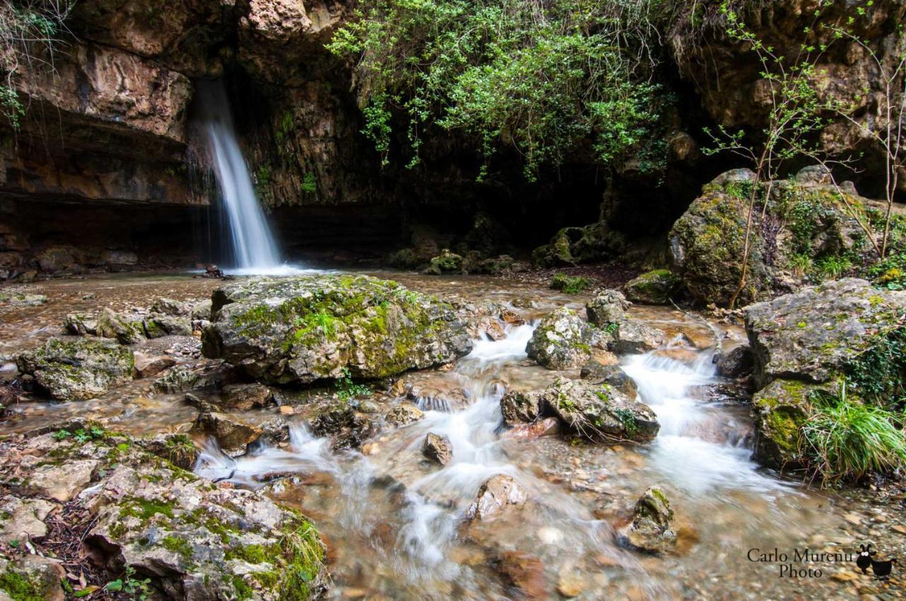 La Peonia Casa Vacanze In Montagna Prato Verde Panorama Stupendo Sardegna Seùlo Buitenkant foto
