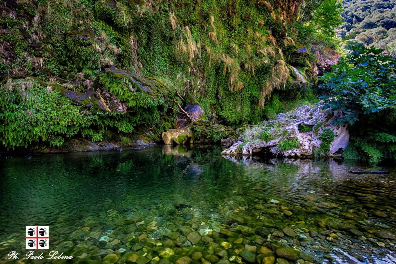 La Peonia Casa Vacanze In Montagna Prato Verde Panorama Stupendo Sardegna Seùlo Buitenkant foto